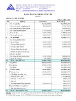 Báo cáo tài chính năm 2007 (đã kiểm toán) - Công ty cổ phần Đầu tư và Phát triển Đô thị Long Giang