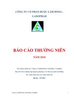 Báo cáo thường niên năm 2010 - Công ty Cổ phần Dược Lâm Đồng - Ladophar