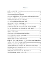 BÁO CÁO THỰC TẬP KẾ TOÁN TẠI CÔNG TY TNHH MỘT THÀNH VIÊN CẤP NƯỚC DIỄN CHÂU