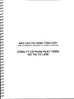 Báo cáo tài chính năm 2008 (đã kiểm toán) - Công ty Cổ phần Phát triển Đô thị Từ Liêm