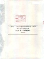 Báo cáo tài chính công ty mẹ quý 2 năm 2015 - Công ty cổ phần Đầu tư và Phát triển Đô thị Long Giang