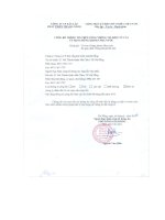 Báo cáo tài chính quý 2 năm 2013 (đã soát xét) - Công ty Cổ phần Xây lắp Phát triển Nhà Đà Nẵng