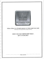 Báo cáo tài chính hợp nhất quý 4 năm 2014 - Tổng Công ty Cổ phần Dịch vụ Tổng hợp Dầu khí