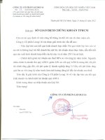 Báo cáo KQKD hợp nhất quý 4 năm 2011 - Công ty cổ phần LICOGI 16