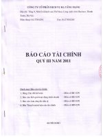 Báo cáo tài chính quý 3 năm 2011 - Công ty Cổ phần Dịch vụ Hạ tầng mạng