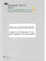 Báo cáo tài chính công ty mẹ quý 2 năm 2012 (đã soát xét) - Công ty cổ phần Đầu tư và Phát triển Đô thị Long Giang