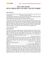 Mẫu lời cảm ơn dùng trong báo cáo thực tập tốt nghiệp