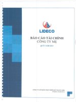 Báo cáo tài chính công ty mẹ quý 1 năm 2013 - Công ty Cổ phần Phát triển Đô thị Từ Liêm