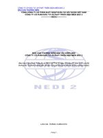 Báo cáo thường niên năm 2009 - Công ty Cổ phần Đầu tư Phát triển điện Miền Bắc 2
