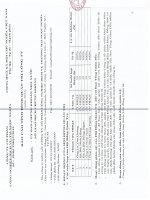 Báo cáo tình hình quản trị công ty - Công ty Cổ phần Công nghiệp - Dịch vụ - Thương Mại Ngọc Nghĩa