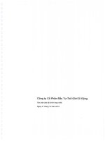 Báo cáo tài chính hợp nhất năm 2012 (đã kiểm toán) - Công ty cổ phần Đầu tư Thế giới Di động