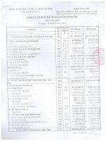 Báo cáo tài chính quý 2 năm 2013 - Công ty Cổ phần Đầu tư Phát triển Nhà Đà Nẵng