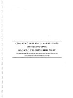 Báo cáo tài chính hợp nhất năm 2014 (đã kiểm toán) - Công ty cổ phần Đầu tư và Phát triển Đô thị Long Giang