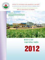 Báo cáo thường niên năm 2012 - Công ty Cổ phần Mía đường Lam Sơn