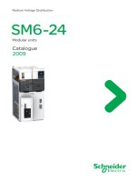 nghiên cứu xây dựng tìm hiểu về hệ thống SM6