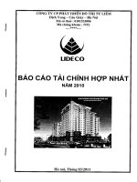 Báo cáo tài chính hợp nhất năm 2010 - Công ty Cổ phần Phát triển Đô thị Từ Liêm