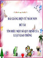 Bài giảng điện tử mầm non lớp Lá đề tài Tìm hiểu một số quy định của luật giao thông