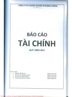 Báo cáo tài chính quý 1 năm 2014 - Công ty Cổ phần Chứng khoán Phượng Hoàng