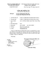 Báo cáo tài chính năm 2011 (đã kiểm toán) - Công ty Cổ phần Điện lực Dầu khí Nhơn Trạch 2