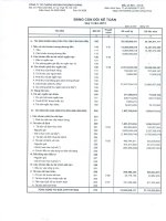 Báo cáo tài chính quý 2 năm 2013 - Công ty Cổ phần Chứng khoán Phượng Hoàng