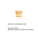 Báo cáo tài chính hợp nhất quý 3 năm 2015 - Công ty Cổ phần Đầu tư Năm Bảy Bảy