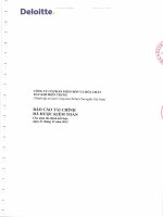 Báo cáo tài chính năm 2012 (đã kiểm toán) - Công ty cổ phần Phân bón và Hóa chất Dầu khí Miền Trung