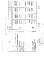 Báo cáo KQKD hợp nhất quý 2 năm 2012 - Công ty Cổ phần Ngô Han