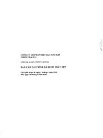 Báo cáo tài chính quý 2 năm 2010 (đã soát xét) - Công ty Cổ phần Điện lực Dầu khí Nhơn Trạch 2