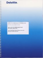 Báo cáo tài chính hợp nhất quý 2 năm 2013 (đã soát xét) - Công ty Cổ phần Đầu tư Năm Bảy Bảy