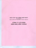 Báo cáo tài chính hợp nhất quý 1 năm 2014 - Công ty cổ phần Điện nhẹ Viễn thông