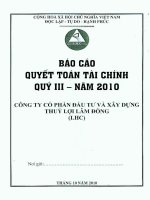 Báo cáo tài chính quý 3 năm 2010 - Công ty Cổ phần Đầu tư và Xây dựng Thủy lợi Lâm Đồng