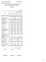 Báo cáo tài chính hợp nhất quý 4 năm 2008 - Công ty Cổ phần Đầu tư Năm Bảy Bảy
