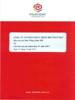 Báo cáo tài chính quý 4 năm 2013 - Công ty cổ phần Phát triển Bất động sản Phát Đạt