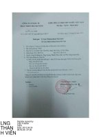 Báo cáo tài chính hợp nhất quý 1 năm 2015 - Công ty Cổ phần Đầu tư Phát triển Nhà Đà Nẵng