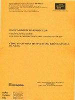 Báo cáo tài chính năm 2015 (đã kiểm toán) - Công ty cổ phần Dịch vụ Hàng không Sân bay Đà Nẵng