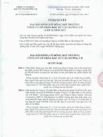 Nghị quyết Đại hội cổ đông bất thường - Công ty Cổ phần Đầu tư Cầu đường CII