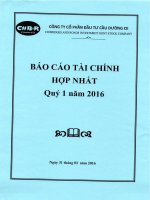 Báo cáo tài chính hợp nhất quý 1 năm 2016 - Công ty Cổ phần Đầu tư Cầu đường CII