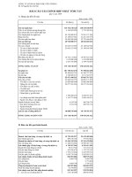 Báo cáo tài chính quý 2 năm 2009 - Công ty cổ phần Điện nhẹ Viễn thông