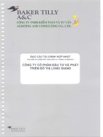 Báo cáo tài chính hợp nhất năm 2011 (đã kiểm toán) - Công ty cổ phần Đầu tư và Phát triển Đô thị Long Giang