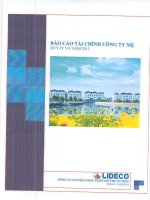 Báo cáo tài chính công ty mẹ quý 4 năm 2013 - Công ty Cổ phần Phát triển Đô thị Từ Liêm