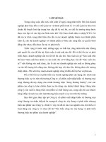 CÔNG TÁC xây DỰNG VÀ PHÁT TRIỂN THƯƠNG HIỆU TẠI CÔNG TY cổ PHẦN XUẤT NHẬP KHẨU  và THƯƠNG mại SÔNG HƯƠNG 