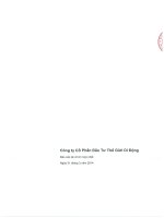 Báo cáo tài chính hợp nhất quý 1 năm 2014 - Công ty cổ phần Đầu tư Thế giới Di động