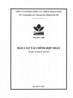 Báo cáo tài chính hợp nhất quý 1 năm 2015 - Công ty cổ phần Giống cây trồng Trung ương