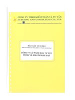 Báo cáo tài chính năm 2006 (đã kiểm toán) - Công ty Cổ phần Phát triển Đô thị Từ Liêm