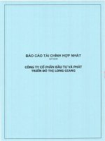 Báo cáo tài chính hợp nhất quý 1 năm 2016 - Công ty cổ phần Đầu tư và Phát triển Đô thị Long Giang