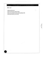 Báo cáo tài chính quý 1 năm 2010 - Công ty Cổ phần Điện lực Dầu khí Nhơn Trạch 2