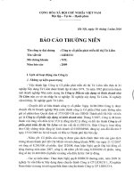 Báo cáo thường niên năm 2009 - Công ty Cổ phần Phát triển Đô thị Từ Liêm