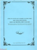 Báo cáo thường niên năm 2012 - CTCP Xây lắp Cơ khí và Lương thực Thực phẩm