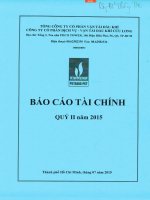 Báo cáo tài chính quý 2 năm 2015 - Công ty cổ phần Dịch vụ Vận tải Dầu khí Cửu Long