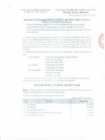 Nghị quyết đại hội cổ đông ngày 08-04-2011 - Công ty Cổ phần Licogi 166